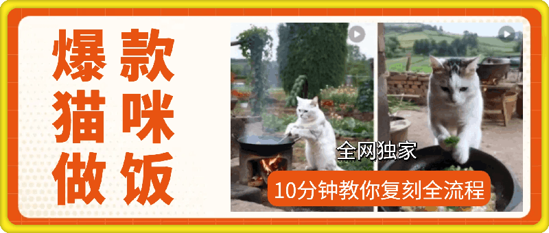 10分钟教你复刻爆款猫咪做饭（全流程）