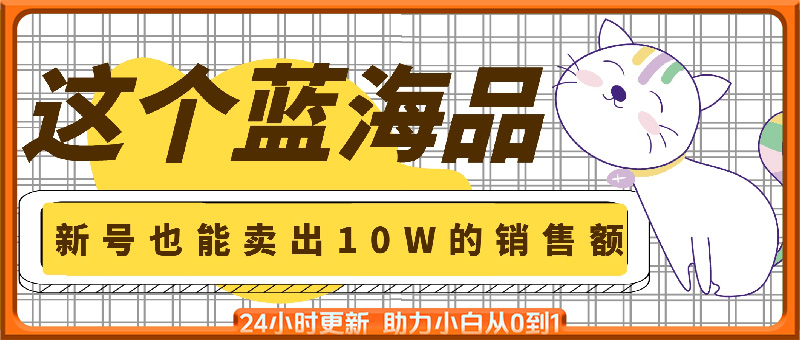 蓝海品，新手也能卖出10W+的销售额，年底火爆项目