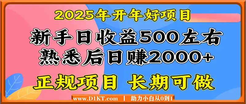 2025开年好项目，单号日收益2000左右