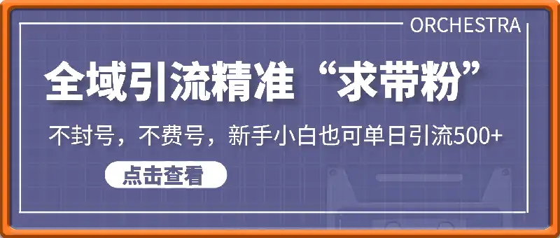 2025年最新引流创业粉技术，全域引流精准“求带粉”，不封号，不费号，新手小白也可单日引流500+